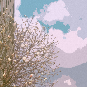 亚洲一区日韩高清中文字幕亚洲
